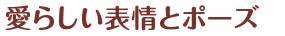 愛らしい表情とポーズ