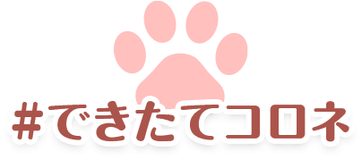 #できたてコロネ